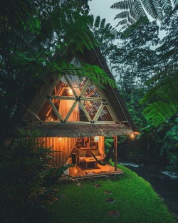 hippie-district-emr:  Camping mod🌲🌲