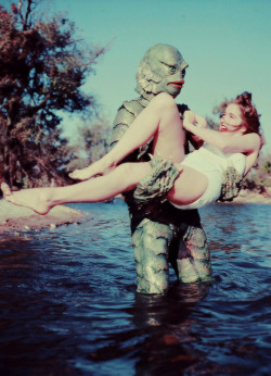 vintagegal:  Creature from the Black Lagoon (1954) dir. Jack