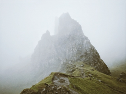 chrysaoraelectrum:  Oh, Scotland. 