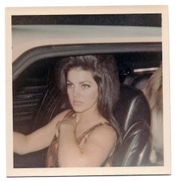 crushedboness:  priscilla presley glamorously driving cars. 