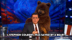 comedycentral:  If Stephen Colbert and bears can finally get
