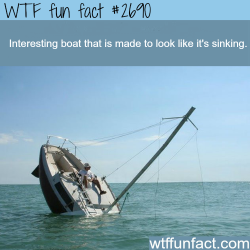 wtf-fun-factss:  Boat designed to look like its sinking - WTF