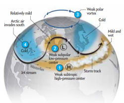 asapscience:  So, why is it so dang COLD?This infographic shows