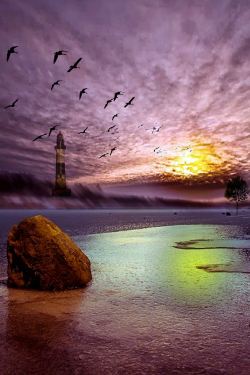 tulipnight:  FB PHOTO SUNRISE LIGHTHOUSE 14 by PacificCove on