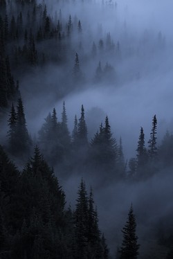 illest:  Ghosts in the Shadows © 