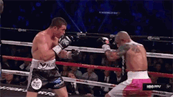 forfightersnotlovers:  Saul Alvarez vs. Miguel CottoWBC Middleweight