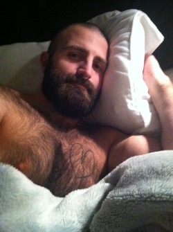 eyecandybears:  Good night! 