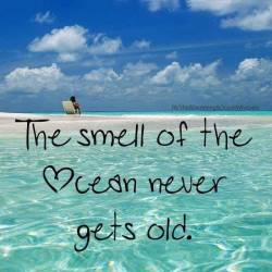 it really doesn’t. i need some ocean therapy