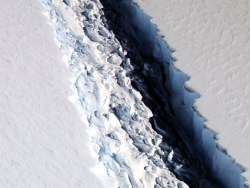 trefoiled:The growing crack in the Larsen C Ice Shelf, Antarctica.