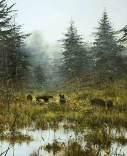 arcadiainteriorana:  The Sounder (Wild Boar)Pieter Daniel Dik