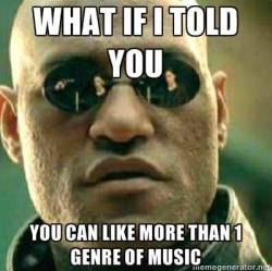 I take IN music. I cant just listen to 1 genre