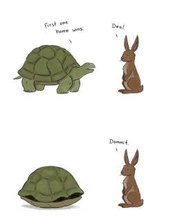 geeky:  Tortoise and Hare