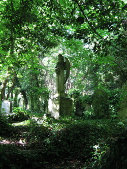 clavicle-moundshroud:  I want to visit Highgate Cemetery so badly