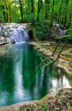 ollebosse:    Starved Rock State Park, Illinois  