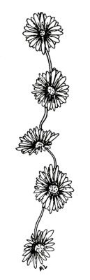 respireds:  transparent daisy chain. click here for more