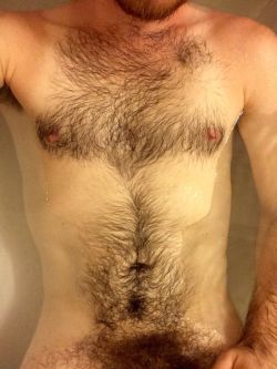 Hairy Men Heaven