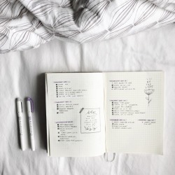 stillstudies: A packed week calls for a simple spread, but I’m