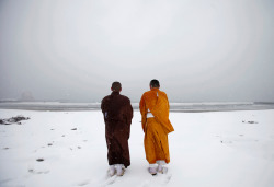 hungerforfilm:   Buddhist monks offer prayers for victims of