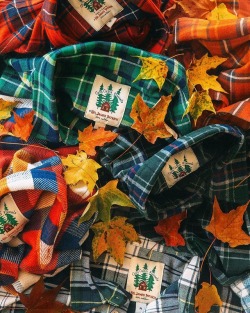 autumncozy:By sarahkjp