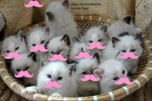 minecraftwarcat:  my favorite one is the last one :3