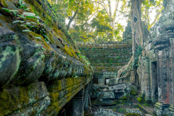 horoheki:  Angkor Wat by okonetchnikov on Flickr. Angkor Wat,