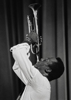 ncs51:   Miles DAVIS at the Salle Pleyel concert hall,1969 by