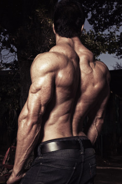 buildingthebodybeautiful:Jaco de Bruyn