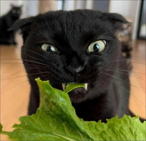 When I’m trying to eat healthy