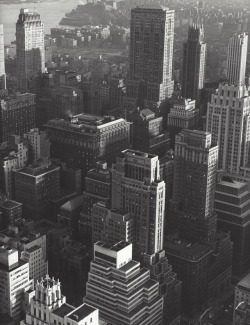 marckald:  Kees Scherer     New York City   1959