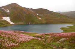 kpk-fata:  KHYBER PAKHTUNKHWA. The beautiful Dudipatsar lake