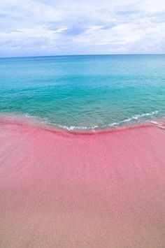 0deelife:sixpenceee:Pink Beaches, Bermuda: The pink sand is the