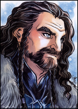 aimosketchcard:  Sons of Durin: Thorin Oakenshield, Fili, and