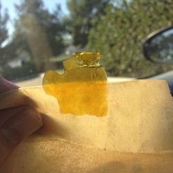 zerobrand:  Lunch time dabs
