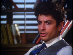 balkanwhore:  femburton:  Jeff Goldblum in the 1980 detective