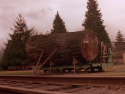 cinemawithoutpeople:  Television without people: Twin Peaks (Pilot,