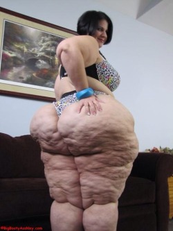 wantssbbwpears:  When you got a woman built like this there is