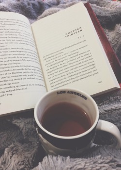 vengefool:  ☽a great book and a hot cup of tea makes for a