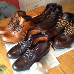 johnfischer:  Shoes shined & waterproofed for winters worst!