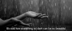 We Are All Mad Here.