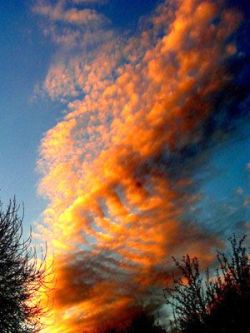 sillymiss96:  spinning clouds ~ heavenly colours spun in a delicate