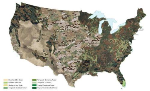 dai-does-stuff: mapsontheweb:  Most effective camouflage by regional