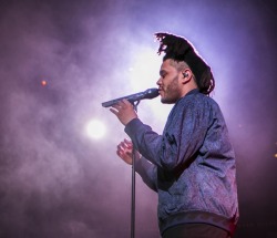 theweekndgallery:  Photos [2/2] The Weeknd x Drai’s Nightclub