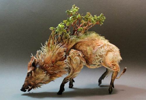 mothpower:  kitsana-d:  wingthingaling:  The phantasmagorical and surreal animal sculptures by Canadian artist Ellen Jewett. Between dream and nightmare, some strange creations born of a symbiosis between organic and mechanical elements, a meeting