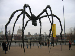 sixpenceee:This sculpture is called Maman. It’s french for “Mom”.