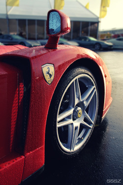 50shadesoflinsanity:  sssz-photo:  Enzo   Vroom vroom ;p