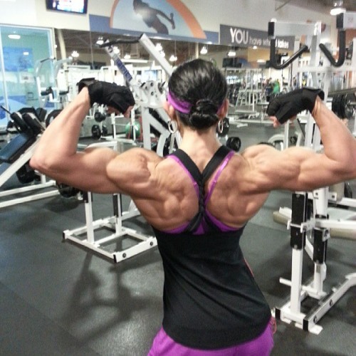 tumblr photo builddudebuild 7