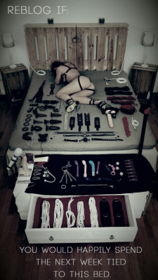 sissyslave0622:  kimbottm69:  Almost as many toys as I have and