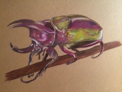 infernroe:  Finally got round to finishing this bad boy tonight.