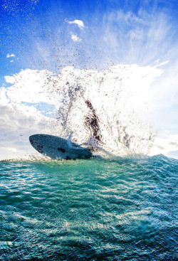 surf-fear:  photo by Matthew Clark 