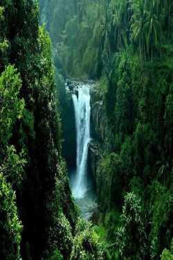 bluepueblo:  Tropical Waterfall, Bali photo via abachelor 